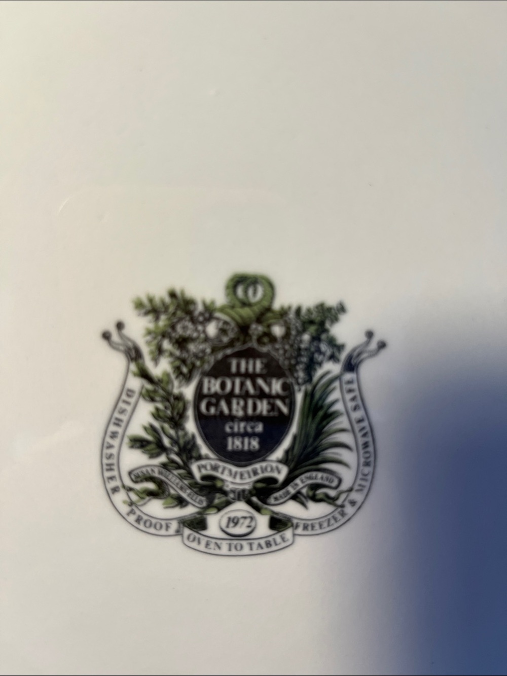 Portmeirion The Botanic Garden Serving Platter-Tray Susan Williams- Ellis 10.75" - Picture 4 of 7